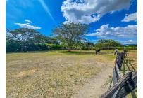 Fincas y Casas Campestres, Venta, Palmira - $3.290.000.000