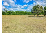 Fincas y Casas Campestres, Venta, Palmira - $3.290.000.000