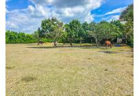 Fincas y Casas Campestres, Venta, Palmira - $3.290.000.000