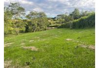 Lotes, Venta, Viterbo - $120.000.000