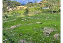 Lotes, Venta, Viterbo - $120.000.000