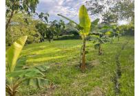 Lotes, Venta, Viterbo - $120.000.000