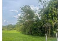 Lotes, Venta, Viterbo - $120.000.000