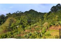 Apartaestudios, Venta, Pereira - $245.000.000