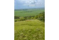 Lotes, Venta, Palmira - $572.000.000