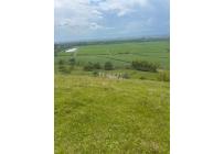 Lotes, Venta, Palmira - $572.000.000