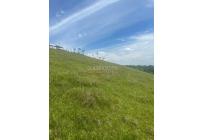 Lotes, Venta, Palmira - $572.000.000