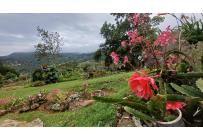 Casas, Venta, Yumbo - $855.000.000