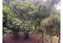 Apartamentos, Venta, Caney - $250.000.000