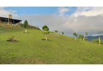 Fincas y Casas Campestres, Venta, Dagua - $820.000.000