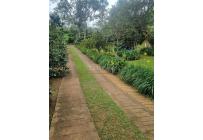 Fincas y Casas Campestres, Venta, Dagua - $450.000.000