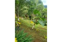 Fincas y Casas Campestres, Venta, Dagua - $450.000.000