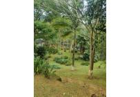 Fincas y Casas Campestres, Venta, Dagua - $450.000.000