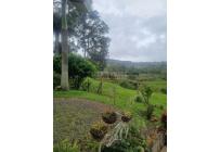 Fincas y Casas Campestres, Venta, Dagua - $450.000.000