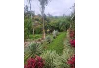Fincas y Casas Campestres, Venta, Dagua - $450.000.000