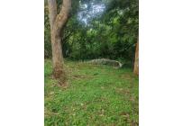 Fincas y Casas Campestres, Venta, Dagua - $450.000.000