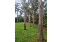 Fincas y Casas Campestres, Venta, Dagua - $450.000.000