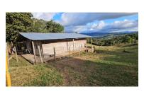 Fincas y Casas Campestres, Venta, La Cumbre - $260.000.000