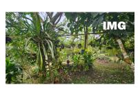Fincas y Casas Campestres, Venta, La Cumbre - $350.000.000