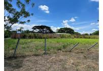 Lotes, Venta, Palmira - $300.000.000