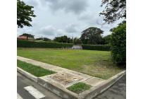 Lotes, Venta, Palmira - $350.000.000