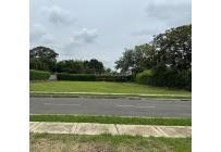 Lotes, Venta, Palmira - $350.000.000