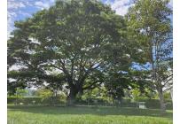 Lotes, Venta, Jamundí - $395.000.000