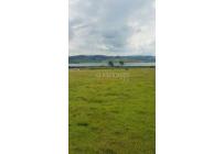 Lotes, Venta, Calima (Darién) - $125.000.000