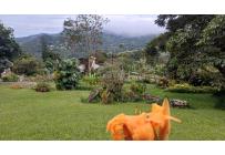 Casas, Venta, Yumbo - $855.000.000