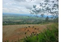 Lotes, Venta, El Cerrito - $720.000.000