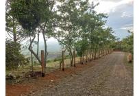 Lotes, Venta, El Cerrito - $720.000.000