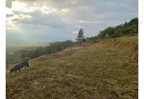 Lotes, Venta, El Cerrito - $720.000.000