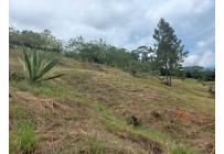 Lotes, Venta, El Cerrito - $720.000.000