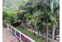 Fincas y Casas Campestres, Venta, Vijes - $1.400.000.000