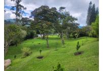 Fincas y Casas Campestres, Venta, La Elvira - $1.790.000.000