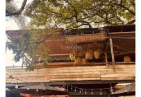 Locales y Bodegas, Alquiler, Ciudad Jardín - $8.000.000
