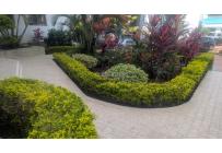 Apartamentos, Venta, El Ingenio - $320.000.000