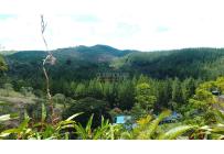 Fincas y Casas Campestres, Venta, La Cumbre - $250.000.000
