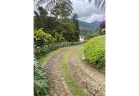Fincas y Casas Campestres, Venta, Yumbo - $910.000.000