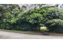 Lotes, Venta, Pance - $4.167.900.000