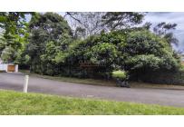 Lotes, Venta, Pance - $4.167.900.000