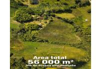 Lotes, Venta, Calima (Darién) - $500.000.000