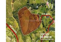 Lotes, Venta, Calima (Darién) - $500.000.000