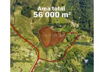Lotes, Venta, Calima (Darién) - $500.000.000