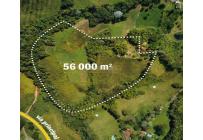 Lotes, Venta, Calima (Darién) - $500.000.000