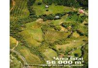 Lotes, Venta, Calima (Darién) - $500.000.000