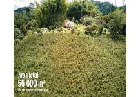 Lotes, Venta, Calima (Darién) - $500.000.000