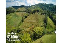 Lotes, Venta, Calima (Darién) - $500.000.000