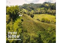 Lotes, Venta, Calima (Darién) - $500.000.000