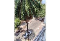 Apartamentos, Alquiler, Versalles - $1.350.000